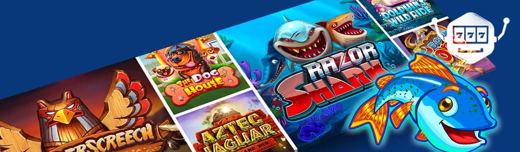 Wilde Slot-Themen zu Tieren entdecken